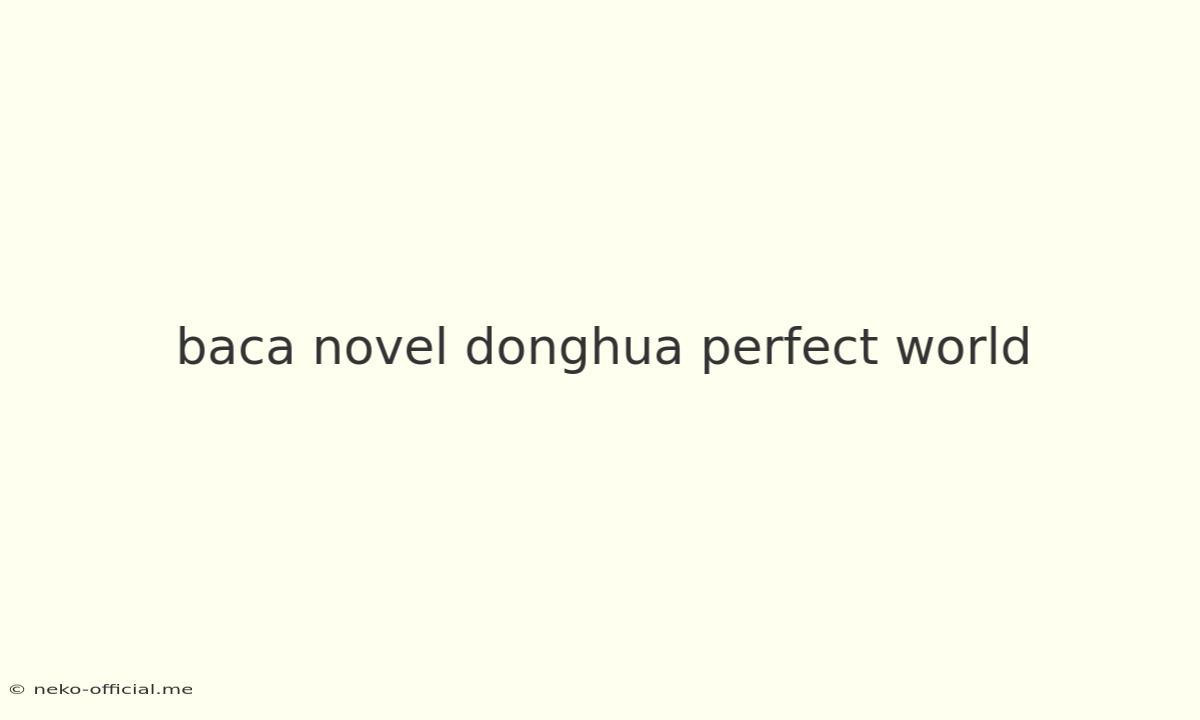 Baca Novel Donghua Perfect World