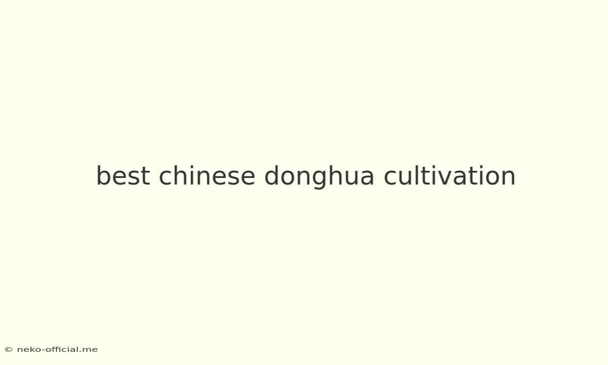 Best Chinese Donghua Cultivation