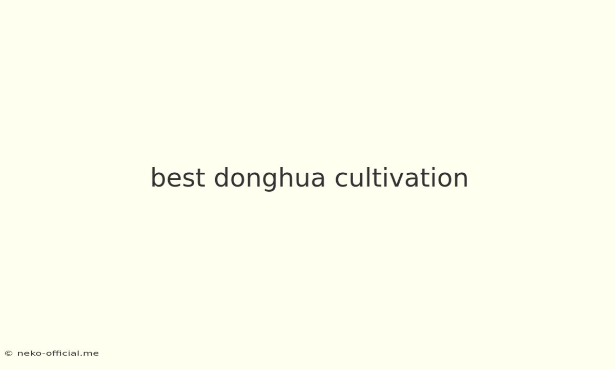 Best Donghua Cultivation