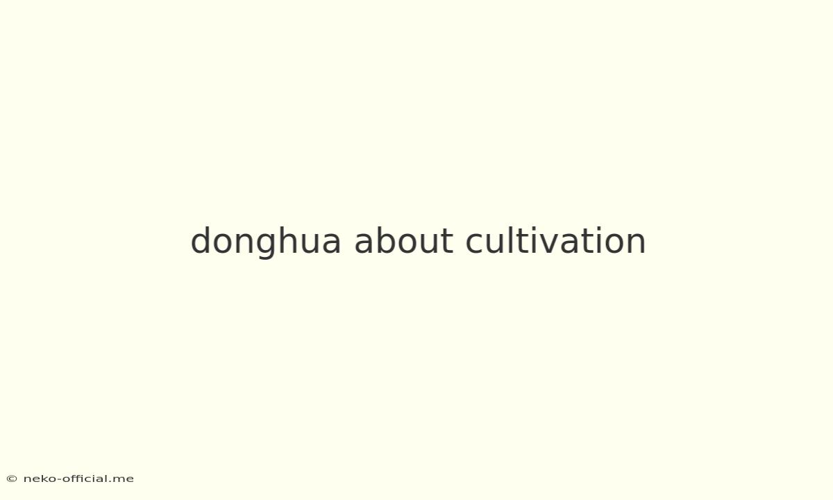 Donghua About Cultivation