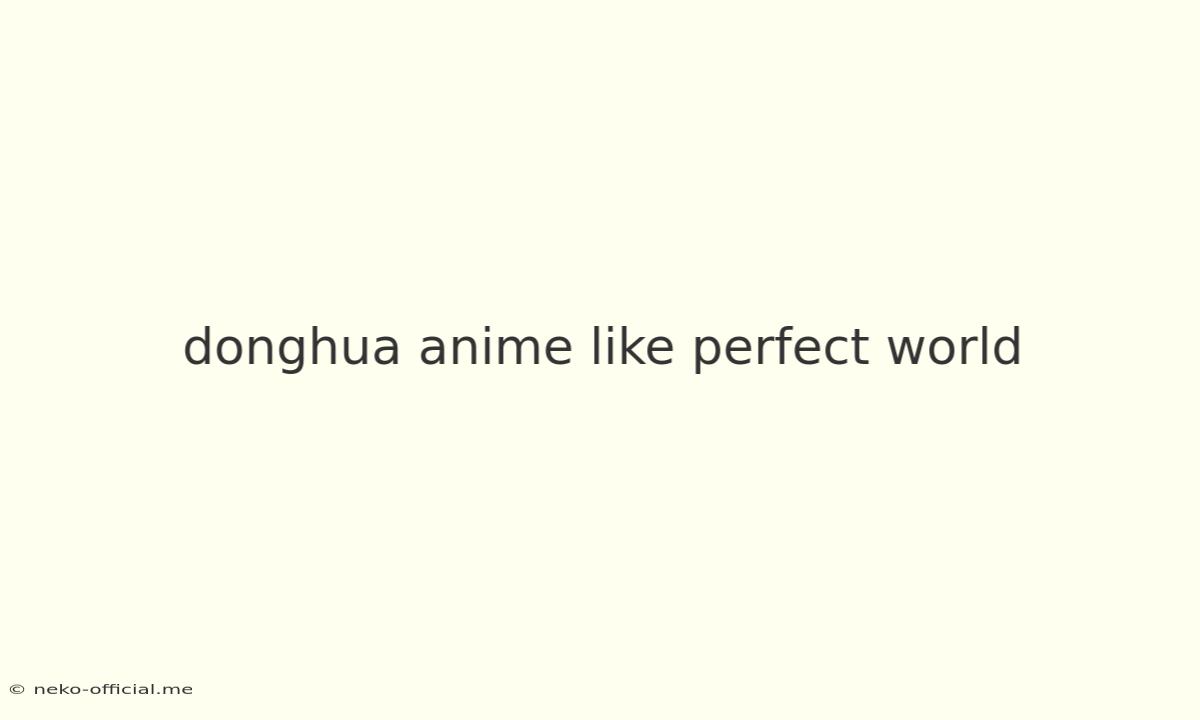 Donghua Anime Like Perfect World