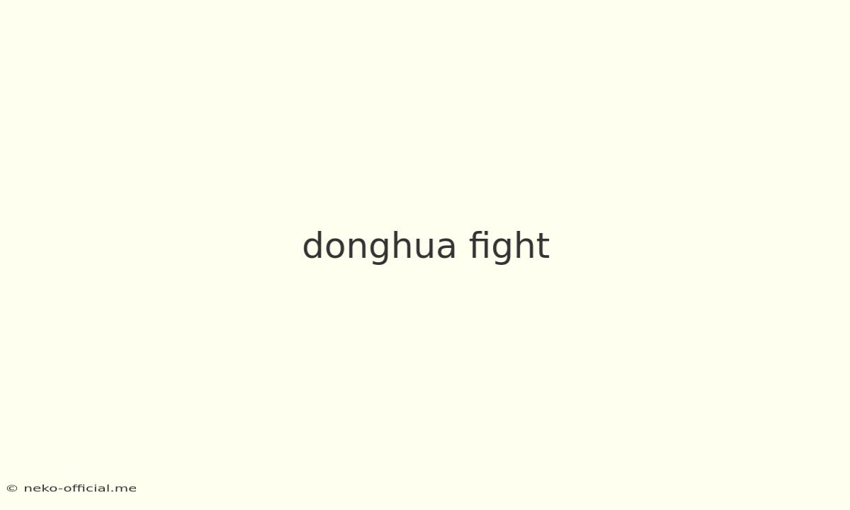 Donghua Fight