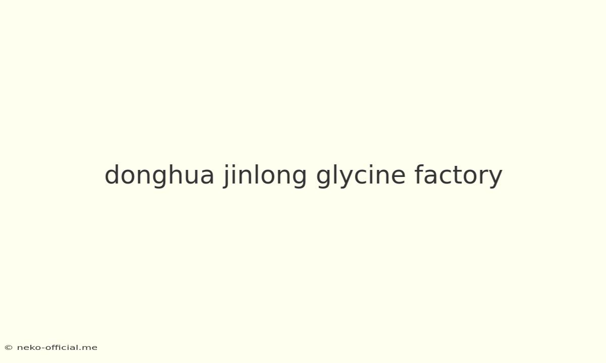 Donghua Jinlong Glycine Factory