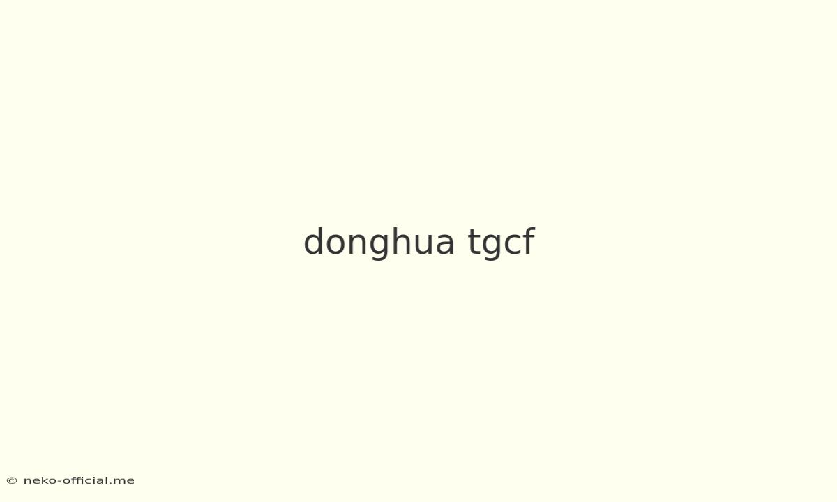 Donghua Tgcf