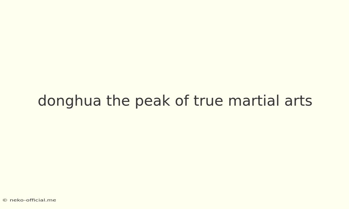 Donghua The Peak Of True Martial Arts