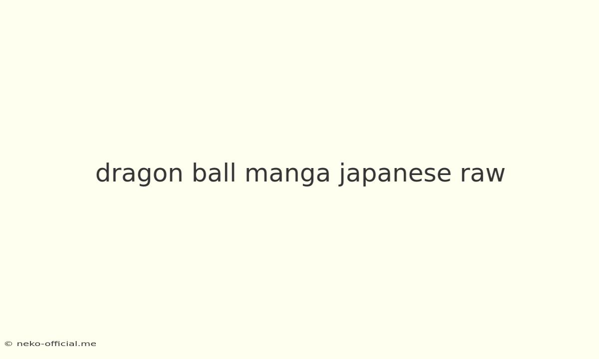 Dragon Ball Manga Japanese Raw