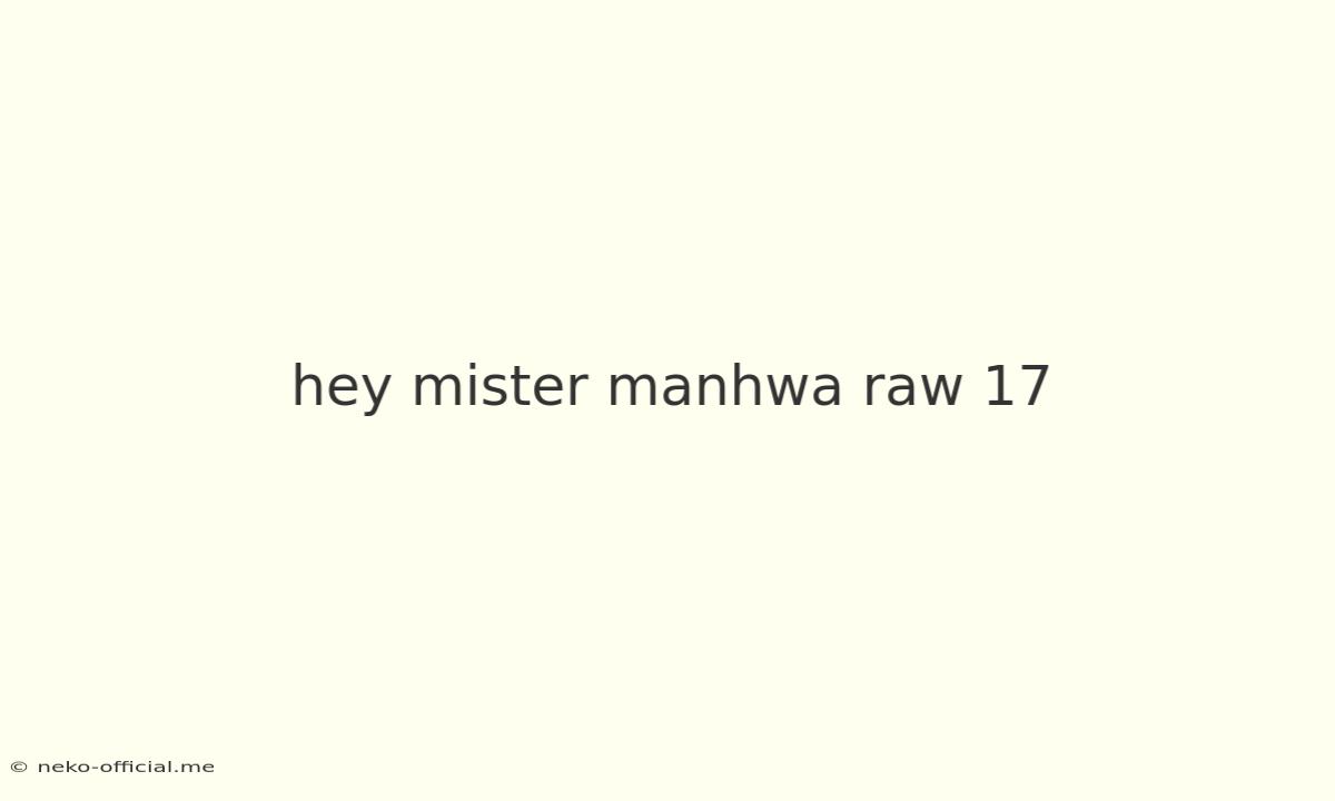 Hey Mister Manhwa Raw 17