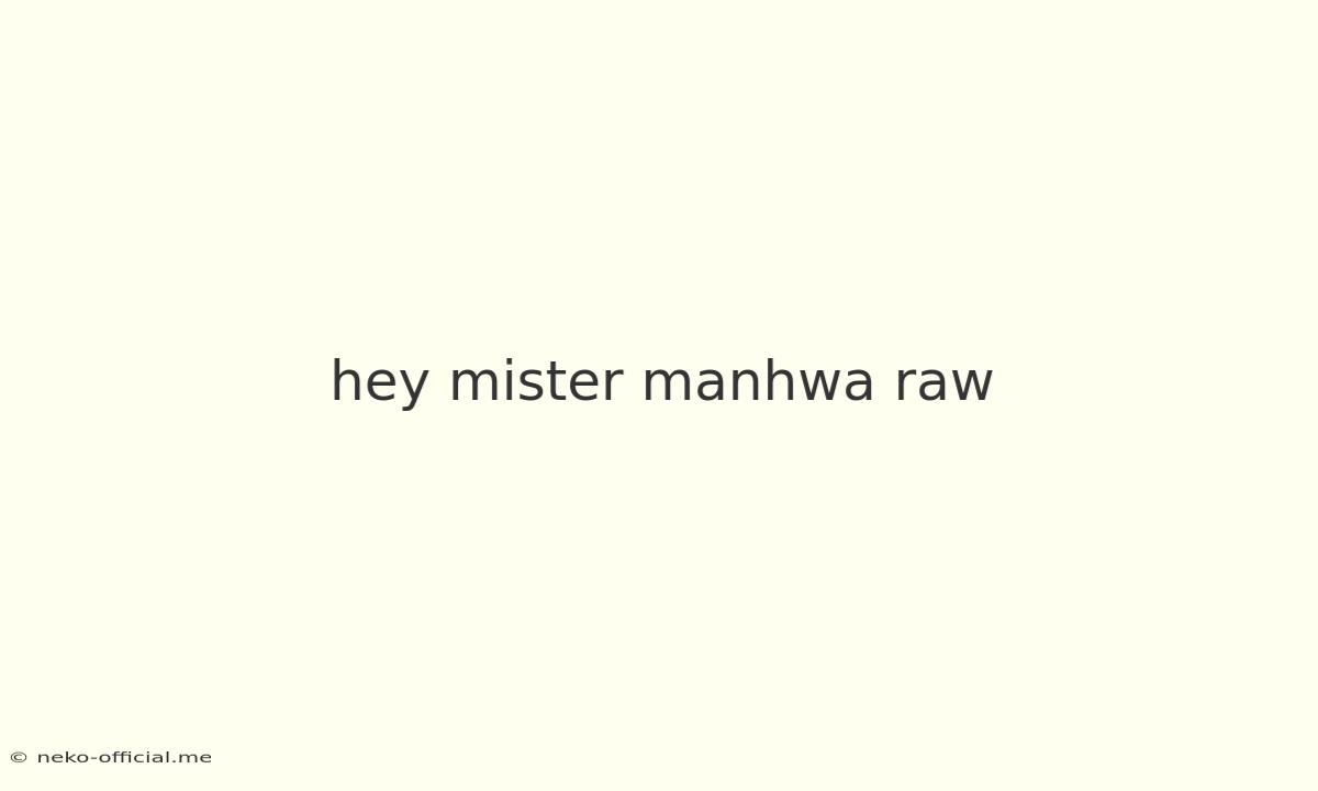 Hey Mister Manhwa Raw