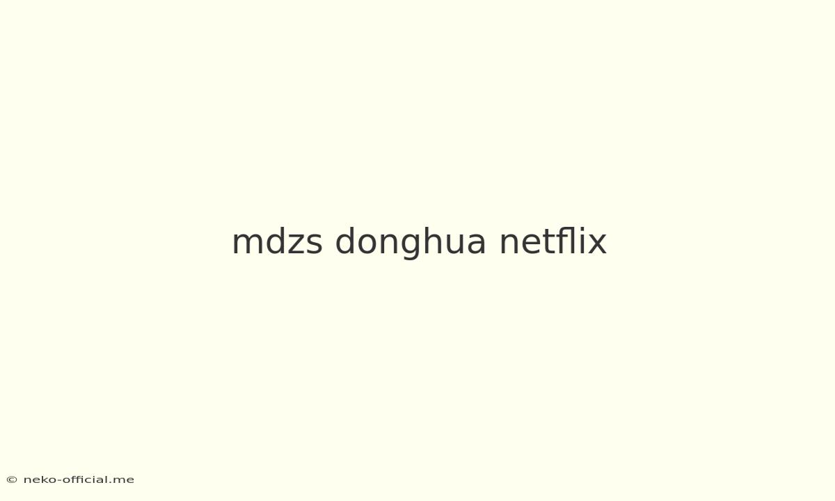 Mdzs Donghua Netflix