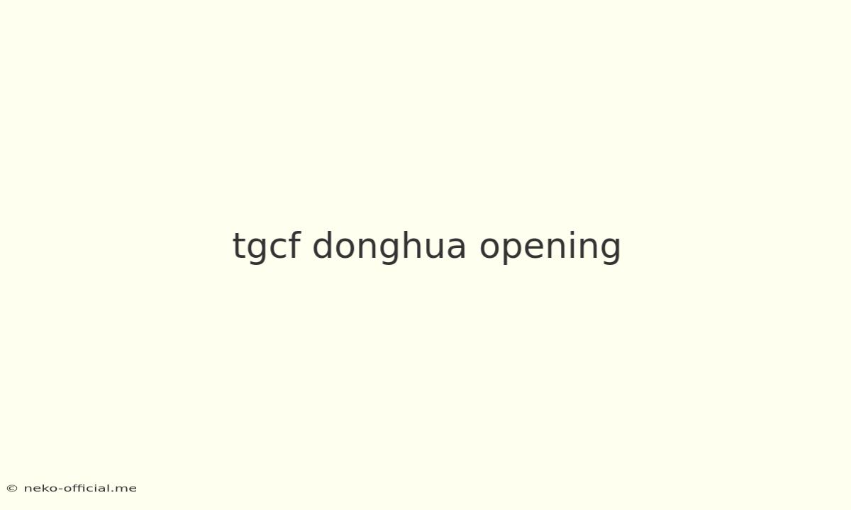 Tgcf Donghua Opening