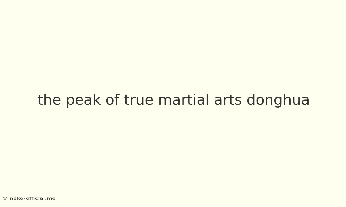 The Peak Of True Martial Arts Donghua