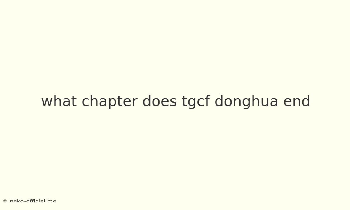 What Chapter Does Tgcf Donghua End