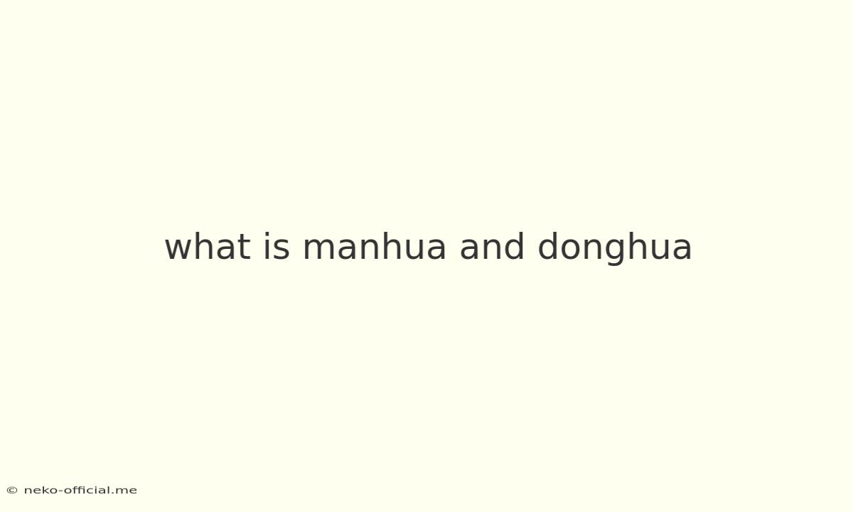 What Is Manhua And Donghua